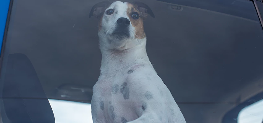 Car Lockout Solutions in Altadena, California